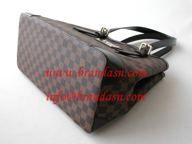 CEBg LOUISVUITTON _~GEAY[@VN[TPM N41113